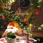 Hotel Hotel Bad Driburg 3*